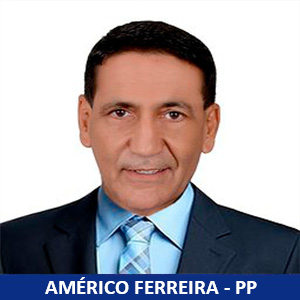 Americo Ferreira PP.jpg