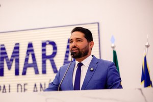 Ananias Júnior apresenta balanço do Mutirão do Emprego: 2 mil pessoas estiveram na Câmara 