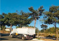 Cabo Fred Caixeta tem solicitação atendida pelo Executivo para realização de poda de árvores na Vila Jaiara