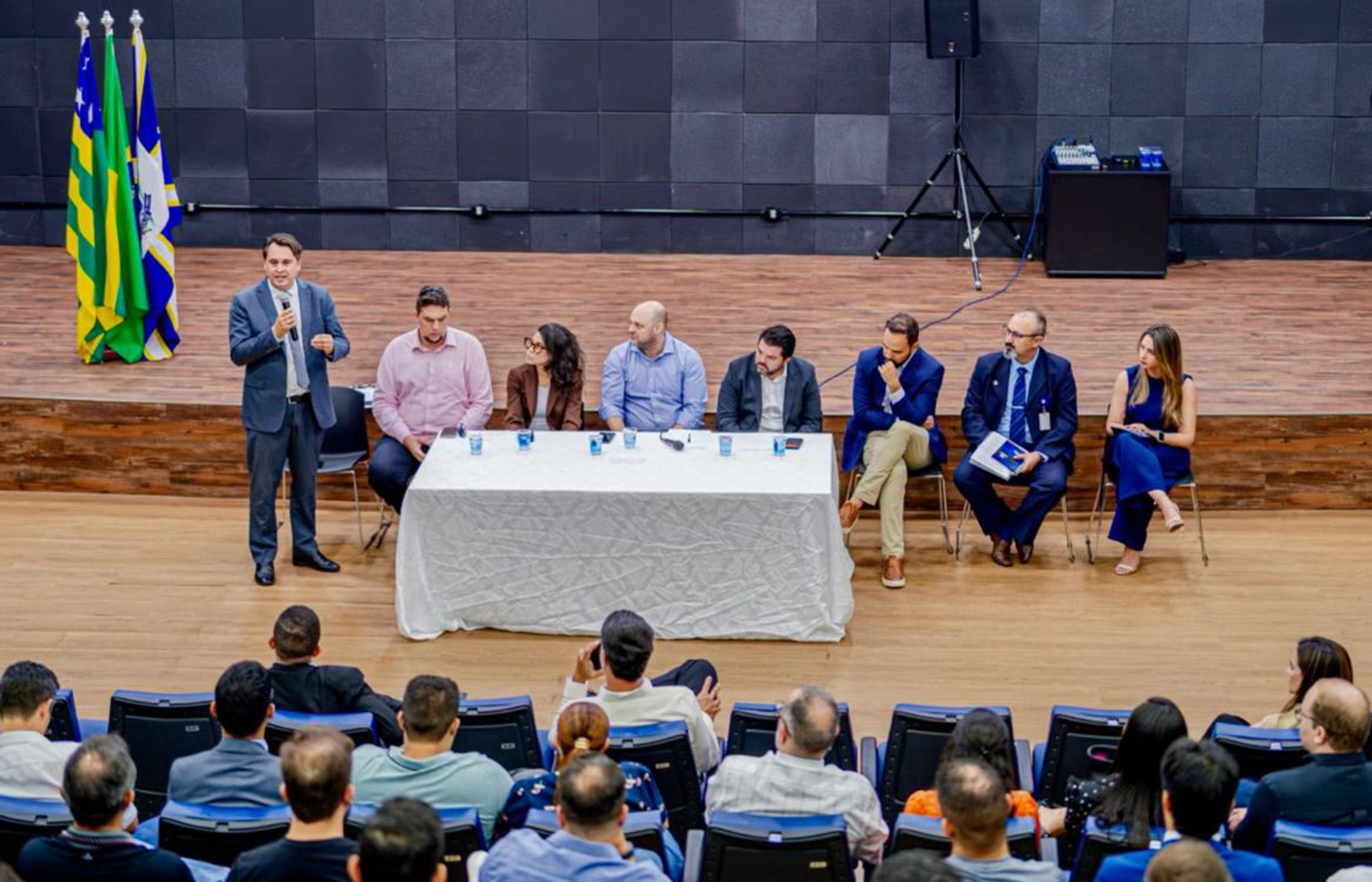 Câmara Municipal participa de reunião que define plano emergencial para reorganizar a fiação aérea em Anápolis