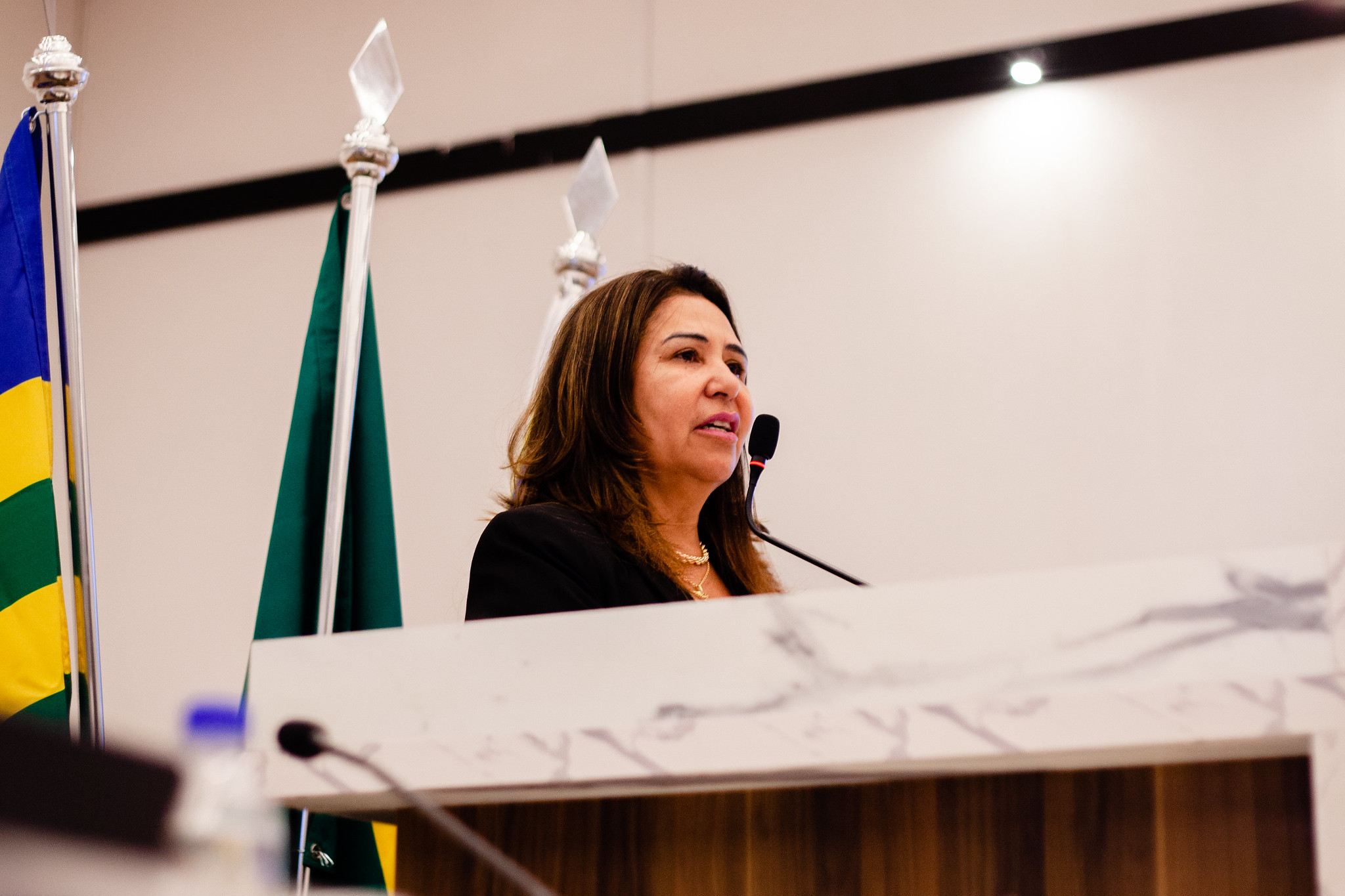 Capitã Elizete divulga trabalho do Núcleo Virtual de Trânsito, que atende acidentes de trânsito sem vítimas