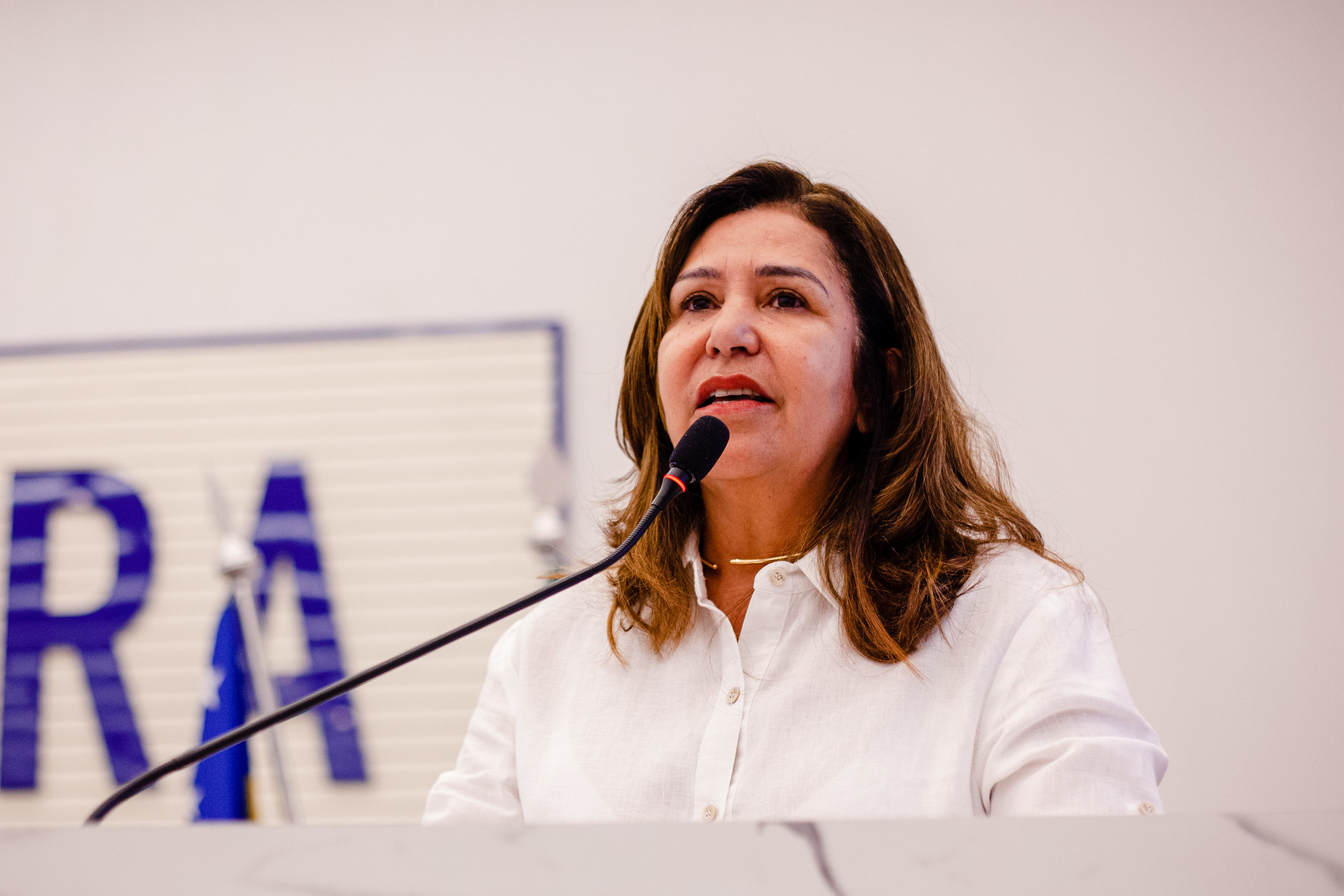Capitã Elizete reforça debates sobre combate à criminalidade e sobre a elaboração de protocolo de atendimento a pessoas em situação de rua