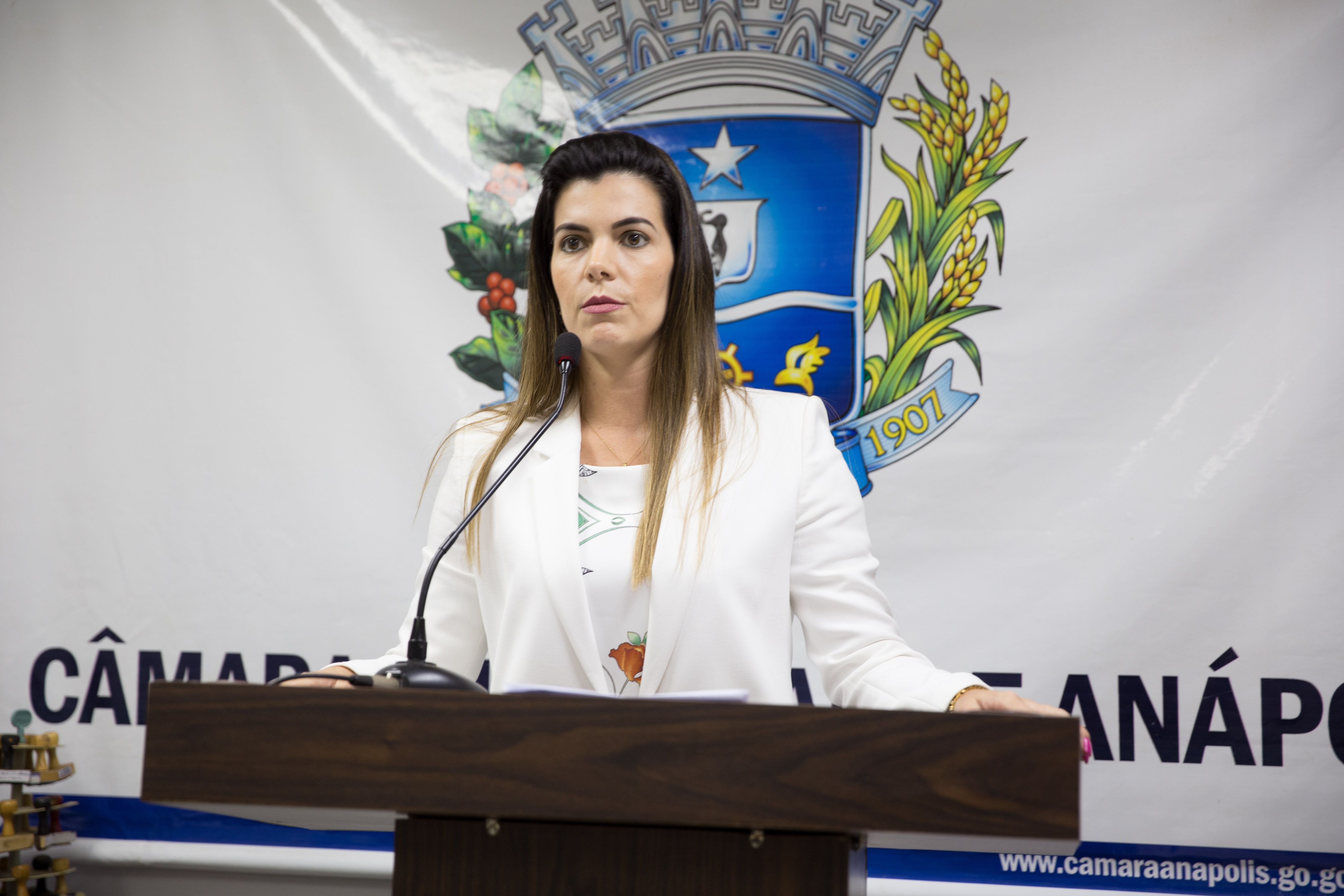 Castramóvel é aprovado pela Câmara Municipal de Anápolis