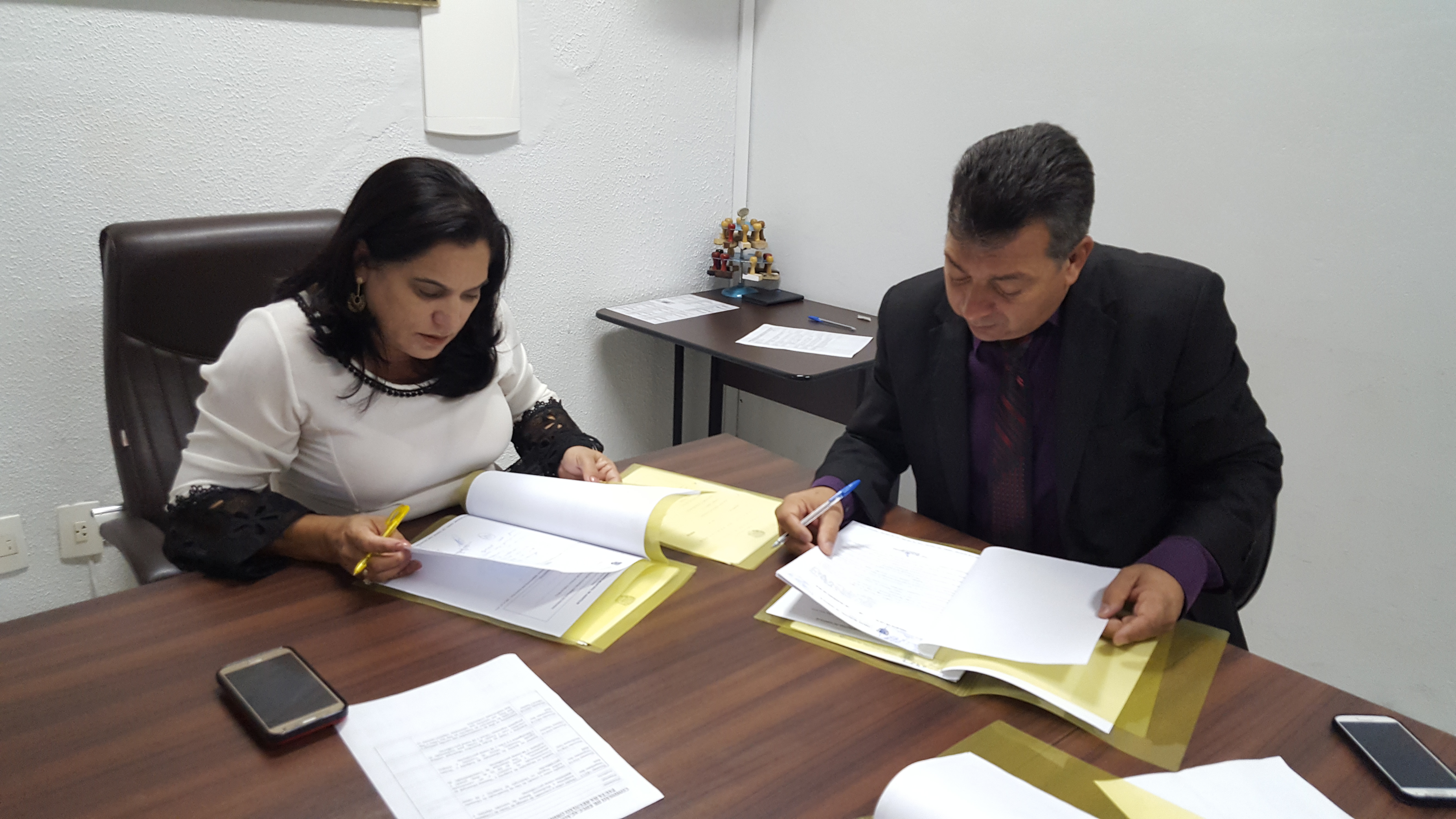 Comissão de Educação retoma atividades parlamentares e encaminha projetos para votação