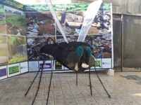 Comissão de Meio Ambiente da Câmara apoia ações do Dia Mundial da Limpeza em Anápolis