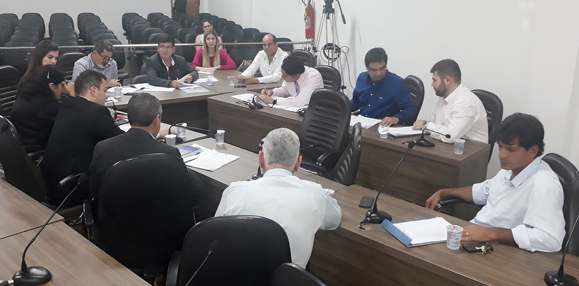 Comissões realizam reunião conjunta para analisar Código Sanitário