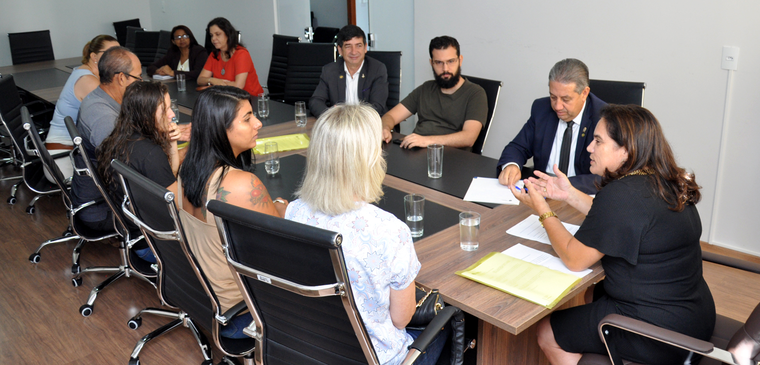 Conselheiros pedem apoio à Comissão de Educação e Cultura para regulamentação de escolas de artes