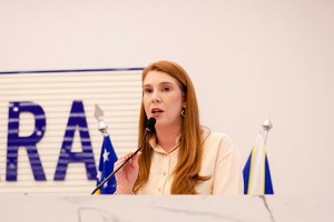 Desafiador e transformador: Presidente Andreia Rezende faz balanço do 1º ano da legislatura