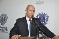 João Feitosa destaca ação de retirada de pinheiros no Jundiaí, com cem trabalhadores