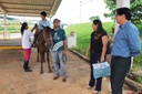 Lisieux defende programa de equoterapia: "precisa de apoio público" Lisieux defende programa de equoterapia: "precisa de apoio público"