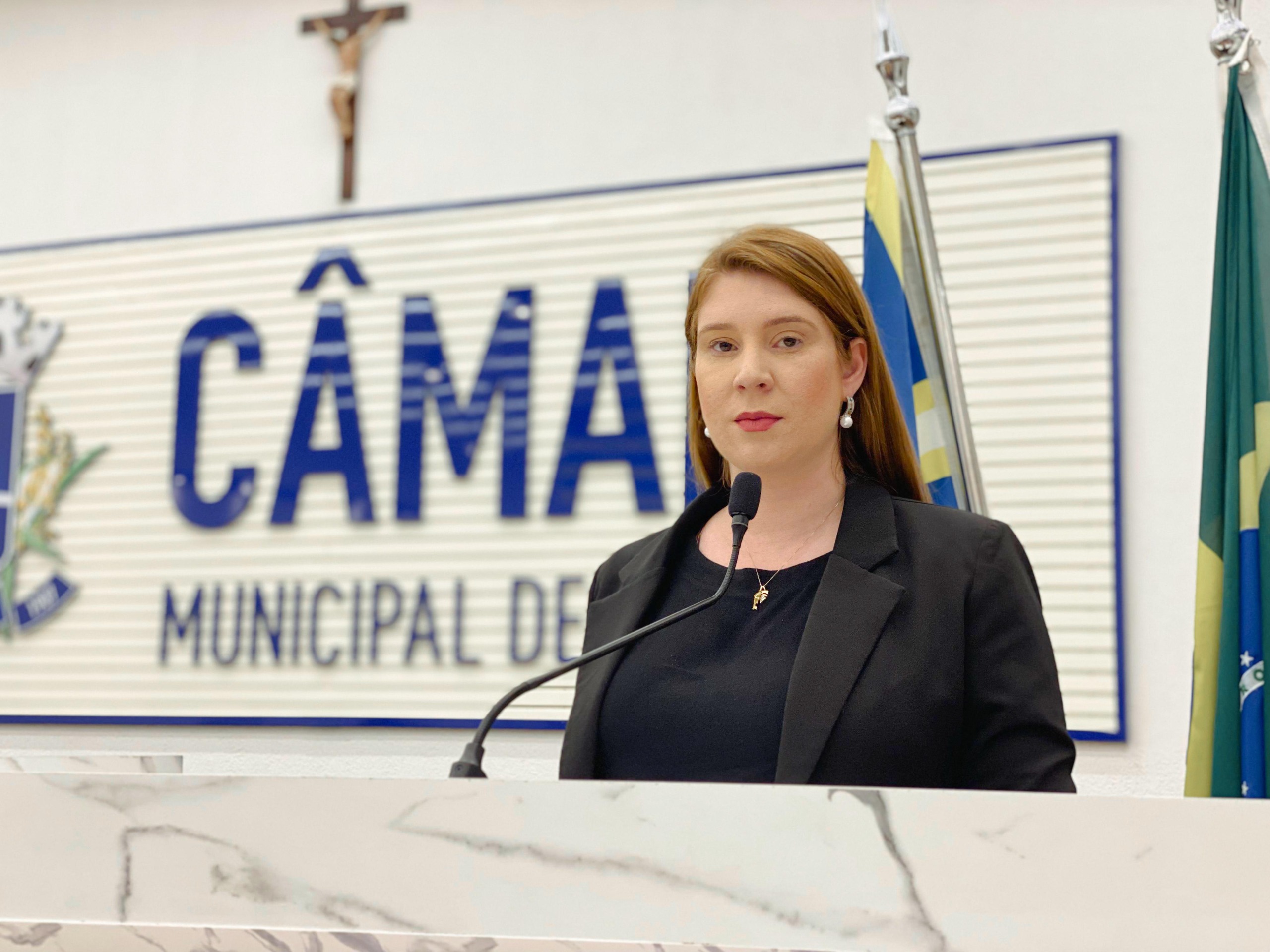 Março Mulher: iniciativa que nasceu na Câmara busca aplacar dependência financeira que aumenta a violência contra a mulher