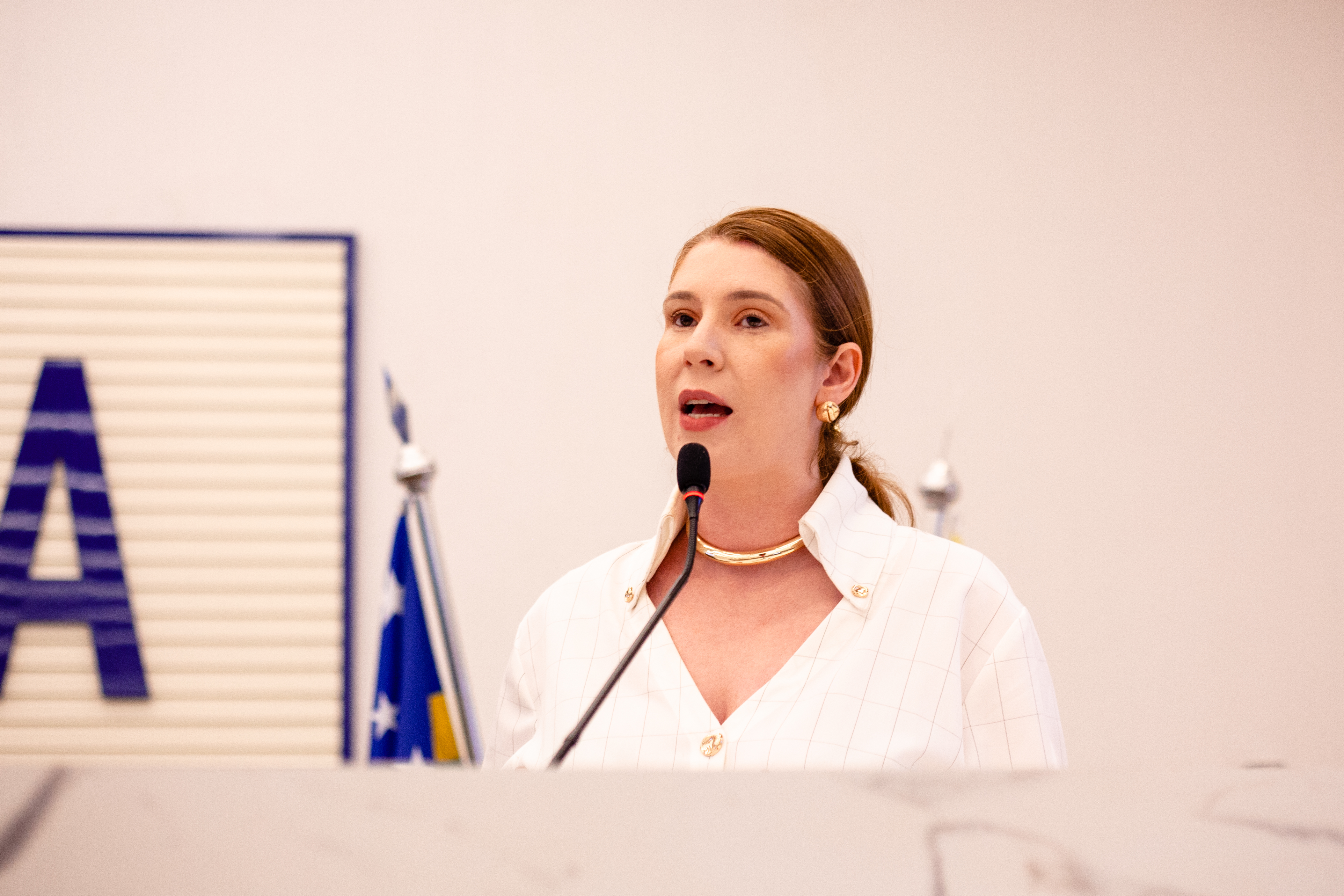 Presidente Andreia renova compromisso com a população e destaca pautas importantes para Anápolis em 2026