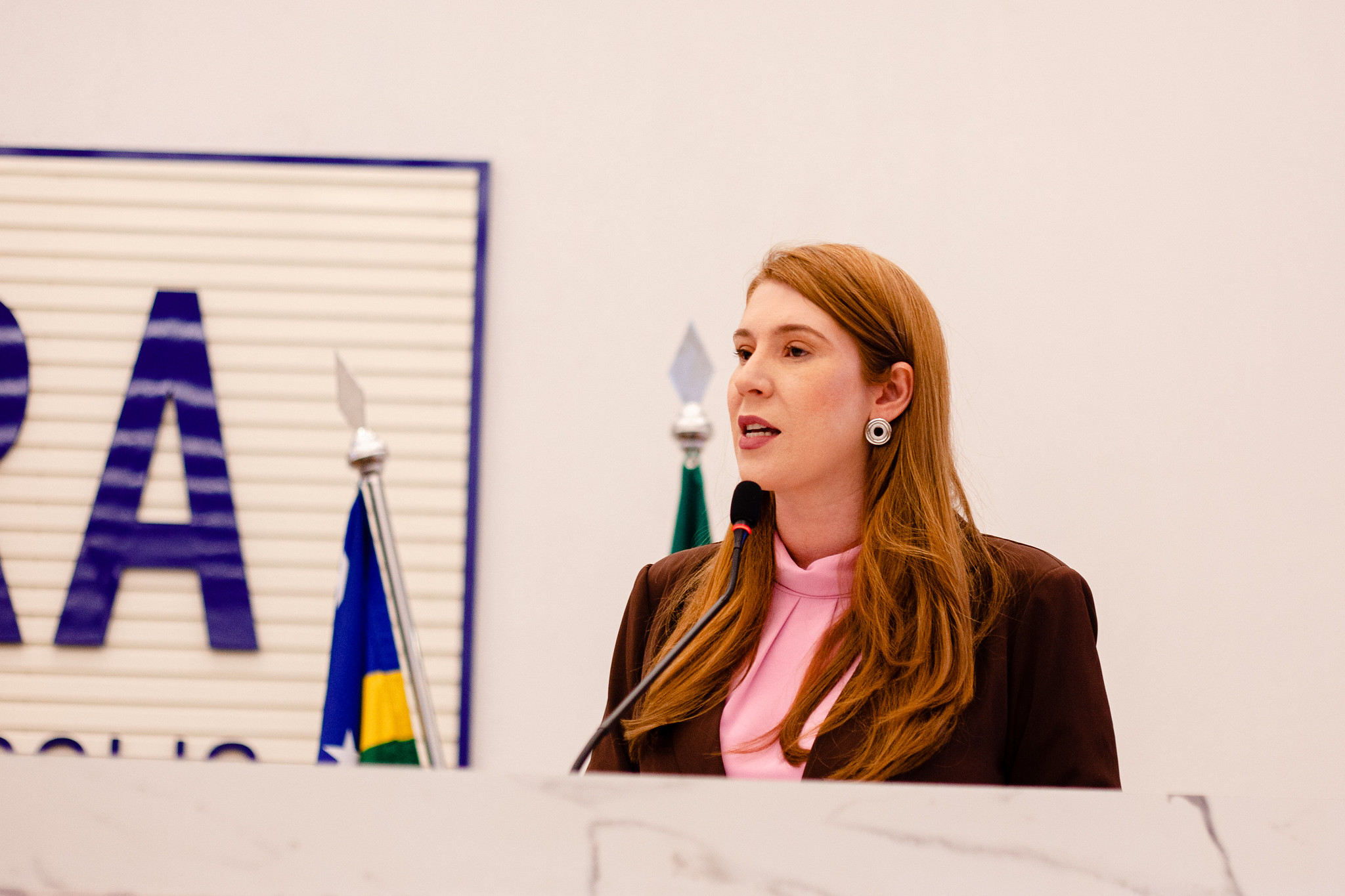 Presidente Andreia Rezende reforça que Câmara é local de busca de soluções para problemas da cidade