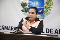 Professora Geli informa vereadores de curso da Escola do Legislativo com presença do TCM