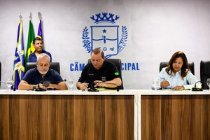 Programas de inclusão da mulher vítima de violência e de catadores de recicláveis avançam em comissão