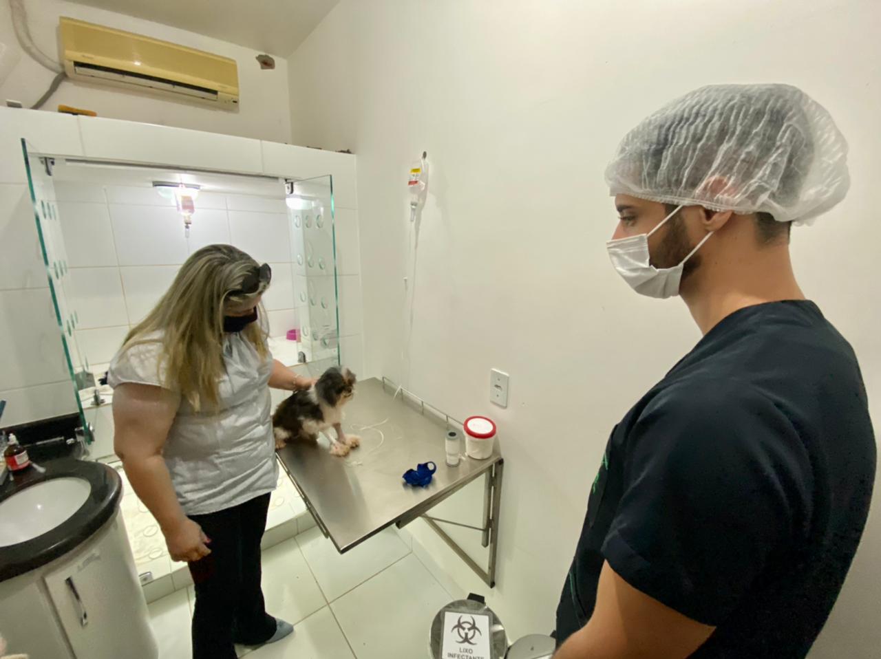  Seliane da SOS aciona Polícia Militar e resgata 3 cachorros vítimas de maus-tratos